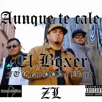 Aunque Te Cale by El Boxer