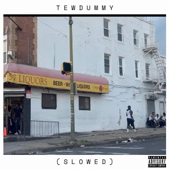 TewDummy - Slowed by Milly Esquire