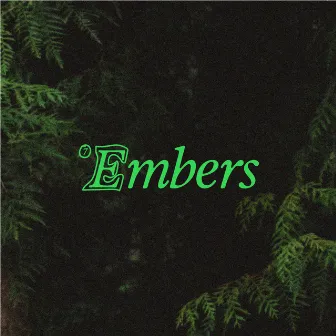 Embers by Rupert Cox