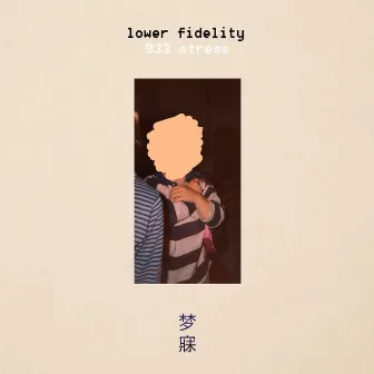 933 Stress by lower fidelity