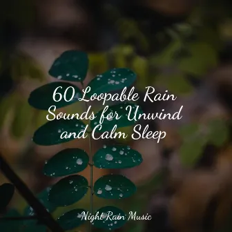 60 Loopable Rain Sounds for Unwind and Calm Sleep by Best Kids Songs