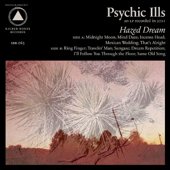 Hazed Dream by Psychic Ills