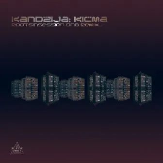 Kičma (Rootsinsession Dnb Remix) by Kandžija