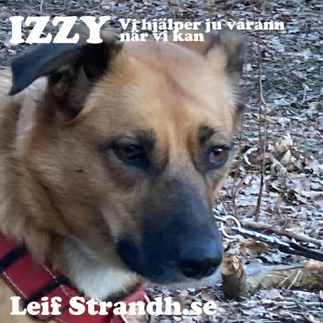 IZZY - Vi hjälper ju varann, när vi kan