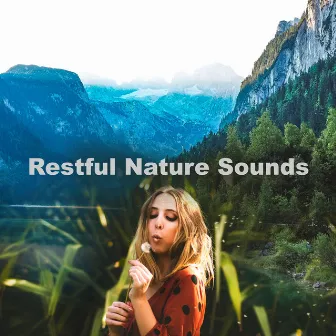 Restful Nature Sounds by Ambient Nature project