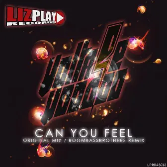 Can You Feel by Voltage Voodoo