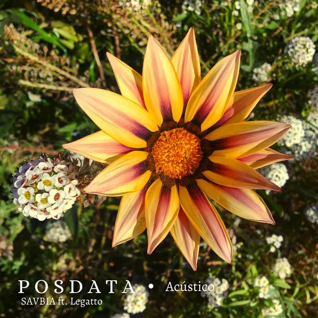 Posdata - Acústico