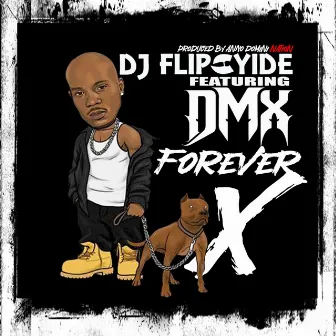 Forever X by DJ Flipcyide