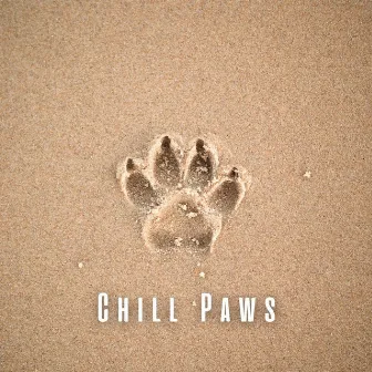 Chill Paws: Melodic Pet Comfort with Chill Music by My Melody