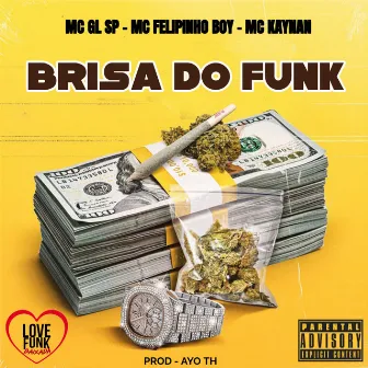 Brisa do Funk by MC Felipinho Boy