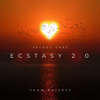 Ecstasy 2.0 by Seydou Chée