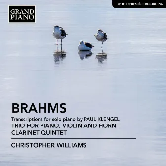 Brahms: Transcriptions for Piano by Christopher Williams