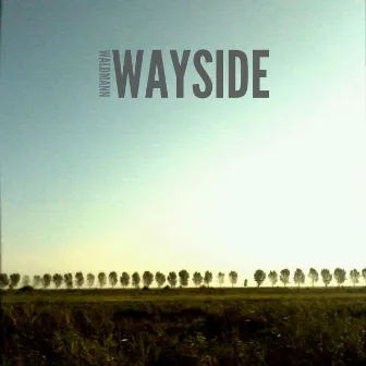 Wayside by Waldmann