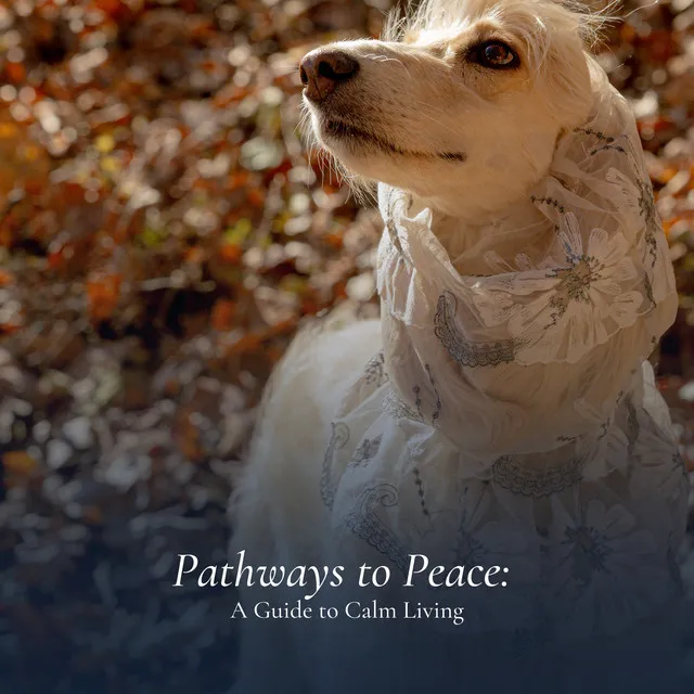 Pathways to Peace: A Guide to Calm Living