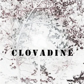 Clovadine (feat. Clovadine) by Vale