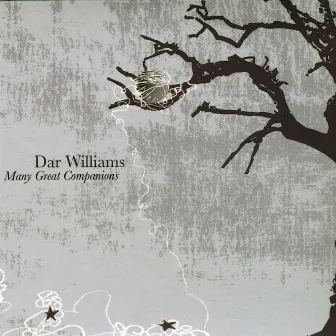 Many Great Companions by Dar Williams