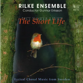 Det korta livet / The Short Life - Rilkeensemblen by Gunnar Eriksson