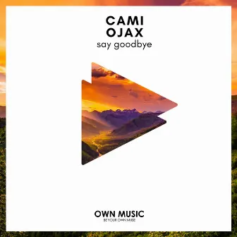 Say Goodbye by Cami