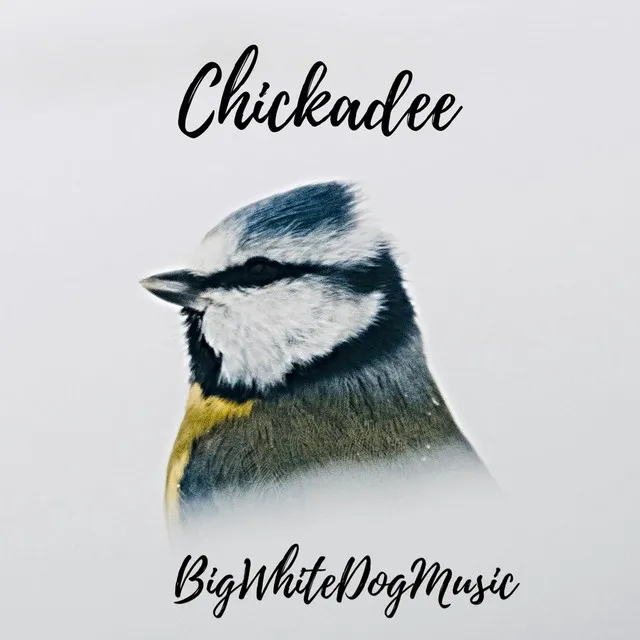 Chickadee