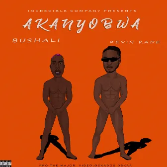 Akanyobwa by Bushali