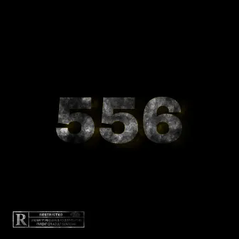 556 by Rareprinc