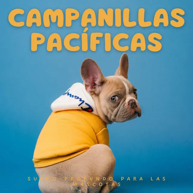 Campanillas Pacíficas: Sueño Profundo Para Las Mascotas