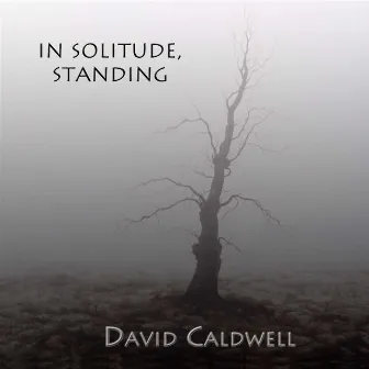 In Solitude Standing by David Caldwell