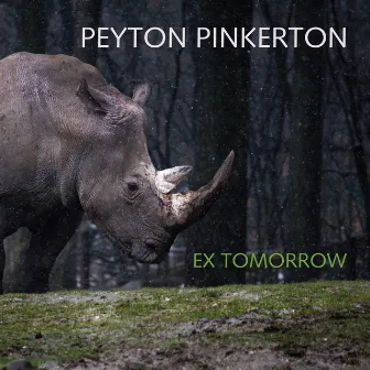 Ex Tomorrow by Peyton Pinkerton