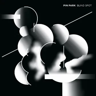 Blind Spot by Pin Park