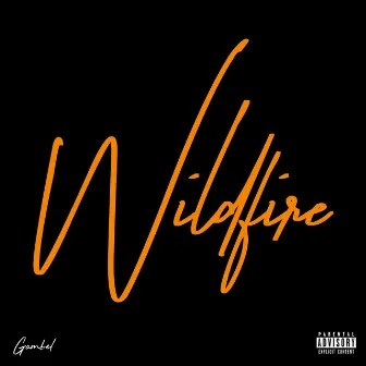 Wildfire by Gambel