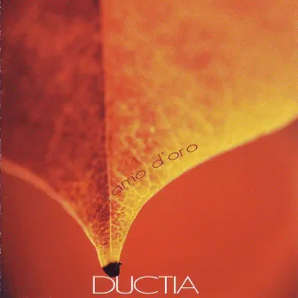 Ductia Il Ramo D'oro by Ductia