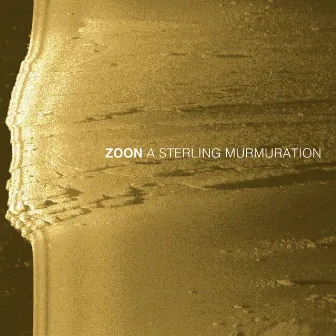 A Sterling Murmuration by Zoon