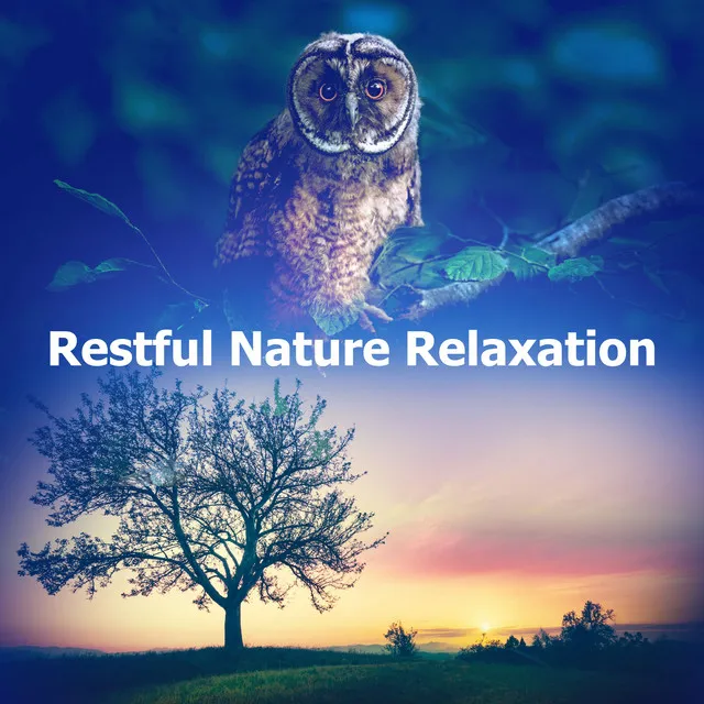 Restful Nature Relaxation