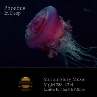 In Deep by Phoebus