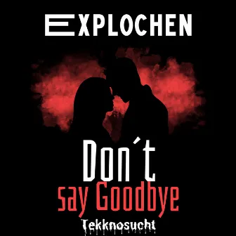 Don´t say Goodbye by explochen