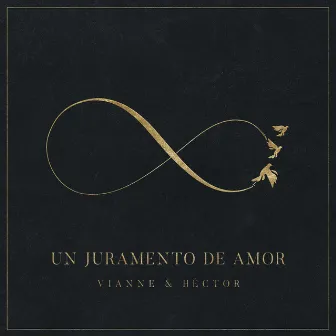 Un Juramento de Amor (Deluxe Version) by Vianne