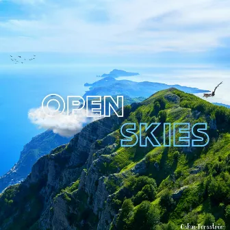 Open Skies by Oskar Forsström