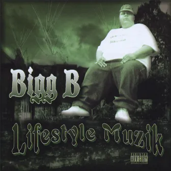 Lifestyle Muzik by Bigg B