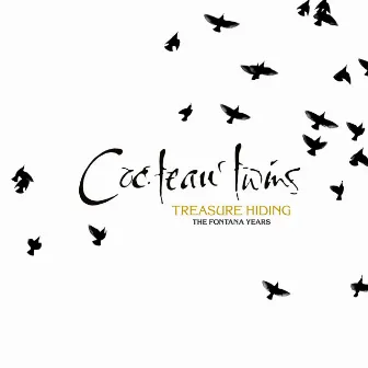 Treasure Hiding: The Fontana Years by Cocteau Twins