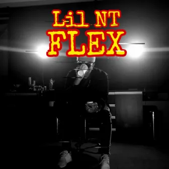 Flex by Lil NT