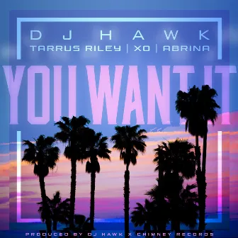 You Want It (feat. Tarrus Riley, DJ X.O. & Abrina) by DJ Hawk