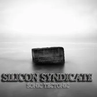 Sonic Tectonic by Silicon Syndicate