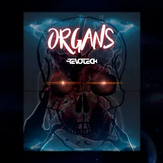 Organs by Unknown Artist