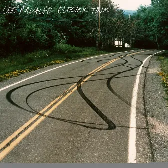 New Thing by Lee Ranaldo