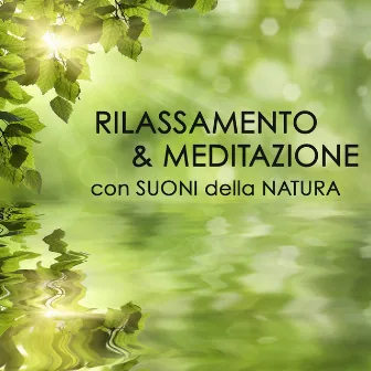 Rilassamento e Meditazione con Suoni della Natura by Unknown Artist