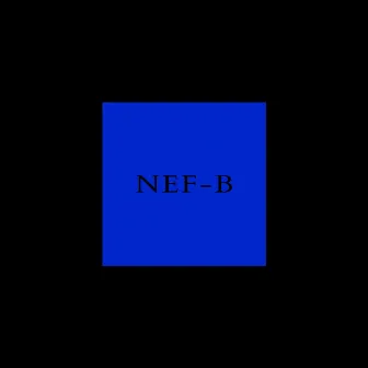 2Beats by Nef-B