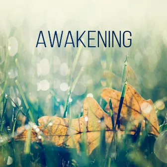 Awakening – Yoga Music, Surya Namaskar, Asana Positions, Meditation and Relaxation Music, Welness and SPA by Only Imagine Meditation Universe