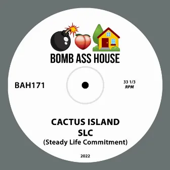 SLC (Steady Life Commitment) by Cactus Island