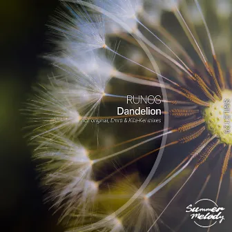 Dandelion by Runos