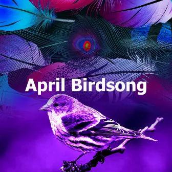 April Birdsong by Sonic Nature